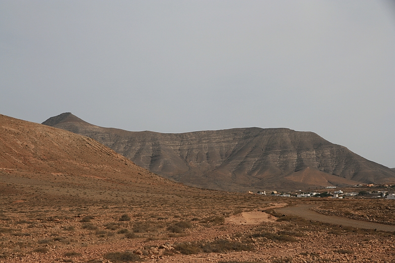 Kanary_2010 207